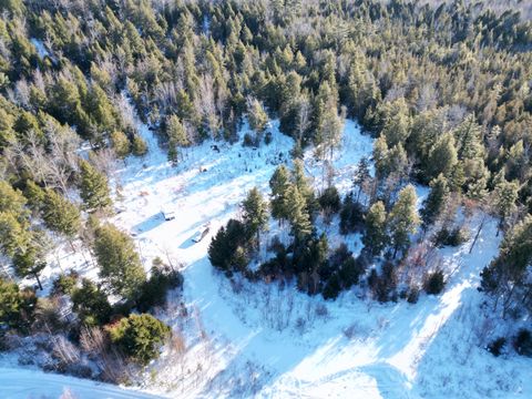 Photo of 31 Timberview Drive, Burlington, ME 04417 (MLS # 1651005)