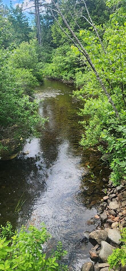 off Springy Pond Road