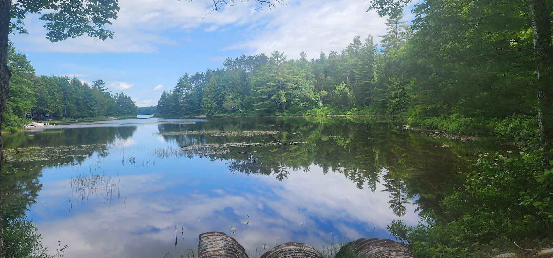 off Springy Pond Road