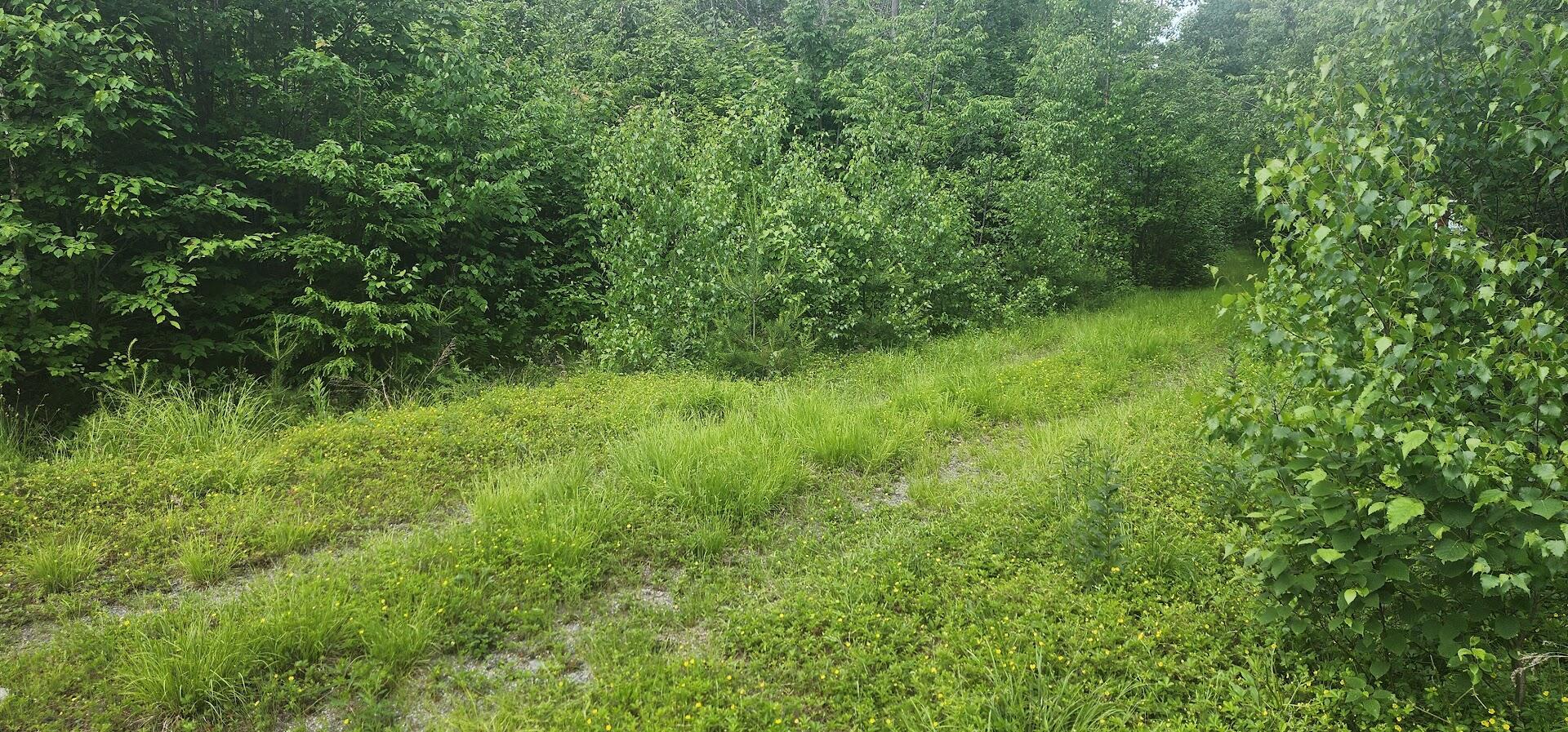 off Springy Pond Road