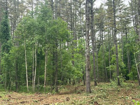Photo of 0 Mayville Road, Bethel, ME 04217 (MLS # 1627228)