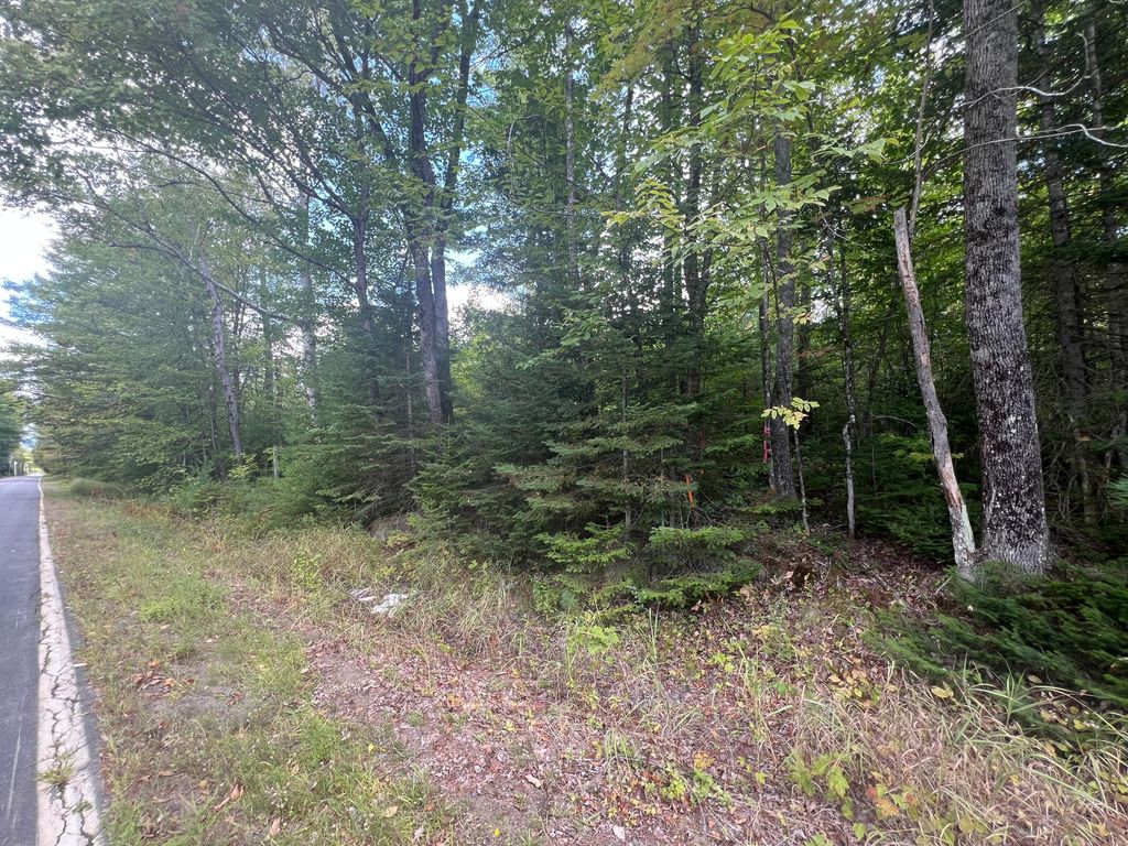 Photo of M4L46-1 Church Street, Brownville, ME 04414 (MLS # 1653986)