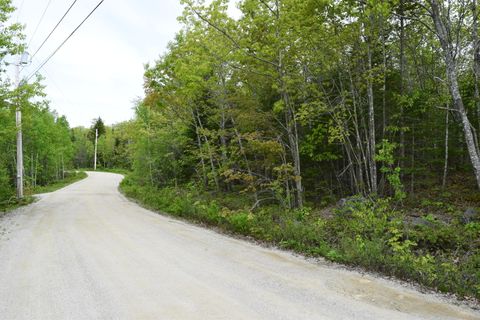 Photo of 18 Lonely Oaks Way, Franklin, ME 04634 (MLS # 1661732)
