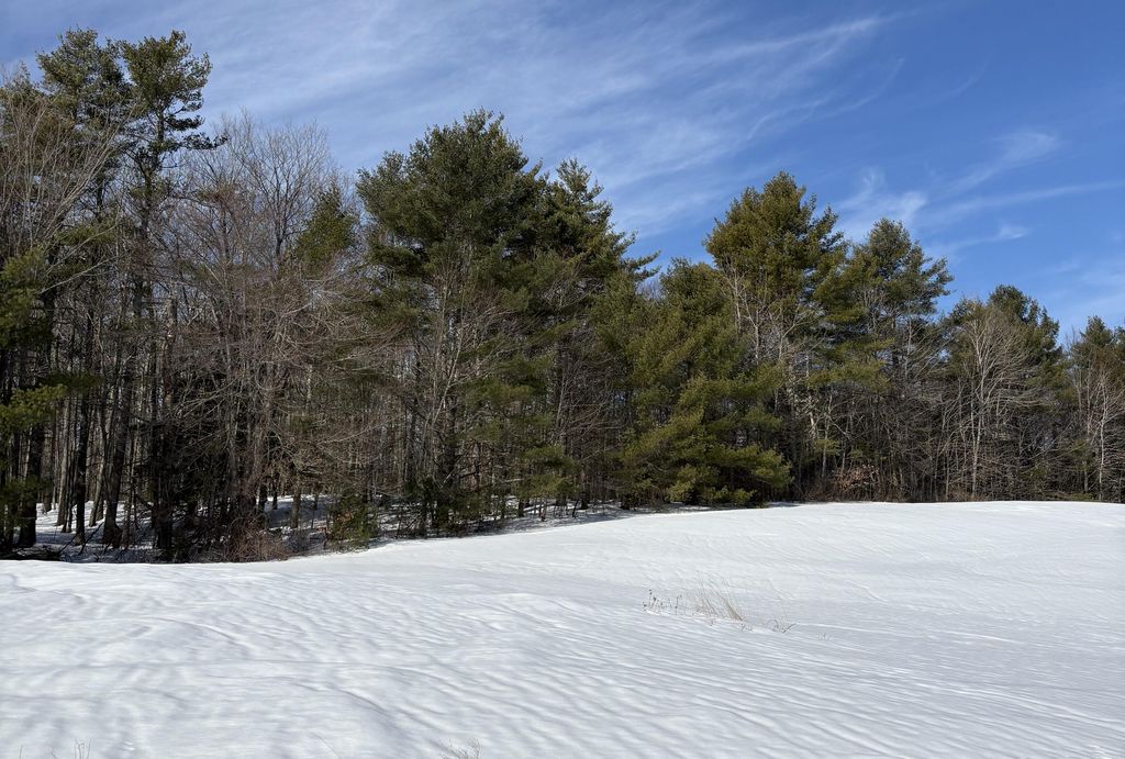 Photo of 0 Simpson Road, Saco, ME 04072 (MLS # 1653444)