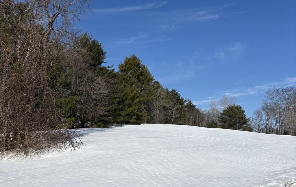 Photo of 0 Simpson Road, Saco, ME 04072 (MLS # 1653444)