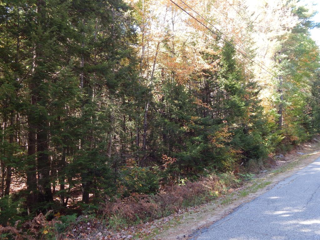 Photo of 00 Stock Farm Road, Paris, ME 04271 (MLS # 1639698)