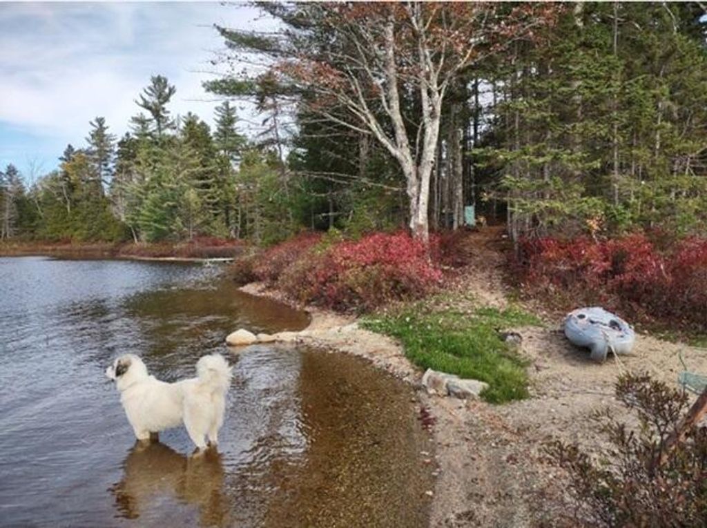Photo of Lot 3 Widerness Way N, Wesley, ME 04686 (MLS # 1643838)