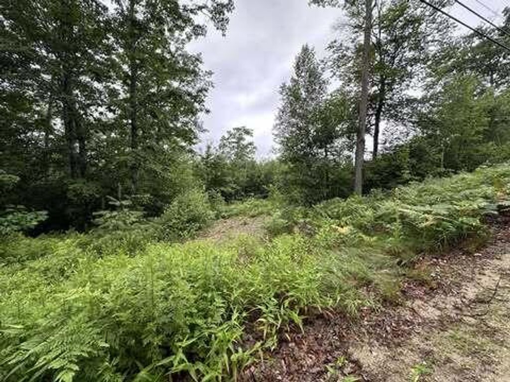Photo of R01-044D Christian Hill Road, Lovell, ME 04051 (MLS # 1654232)