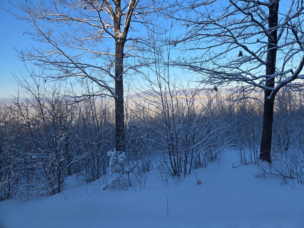 Photo of R01-044D Christian Hill Road, Lovell, ME 04051 (MLS # 1654232)