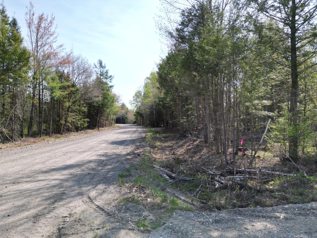 Photo of Lot 1 Mattamiscontis Road, Howland, ME 04448 (MLS # 1663341)