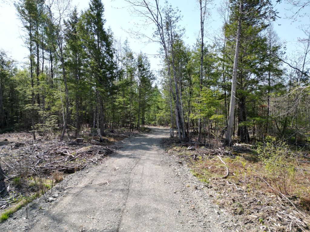 Photo of Lot 1 Mattamiscontis Road, Howland, ME 04448 (MLS # 1663341)