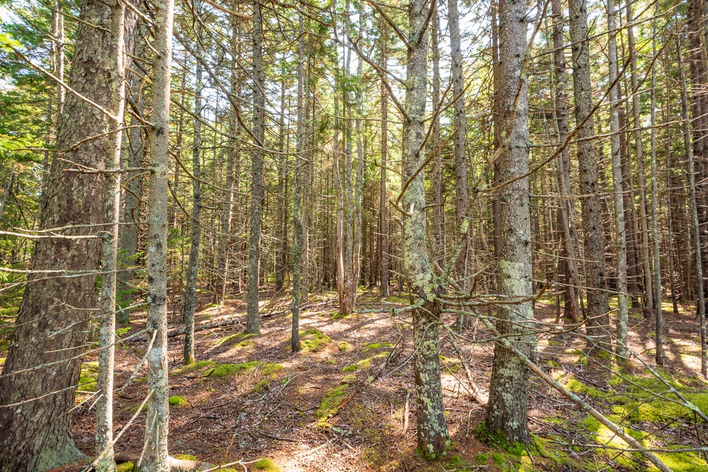 Photo of Lot 11 Nahanada Road, Bristol, ME 04539 (MLS # 1638595)