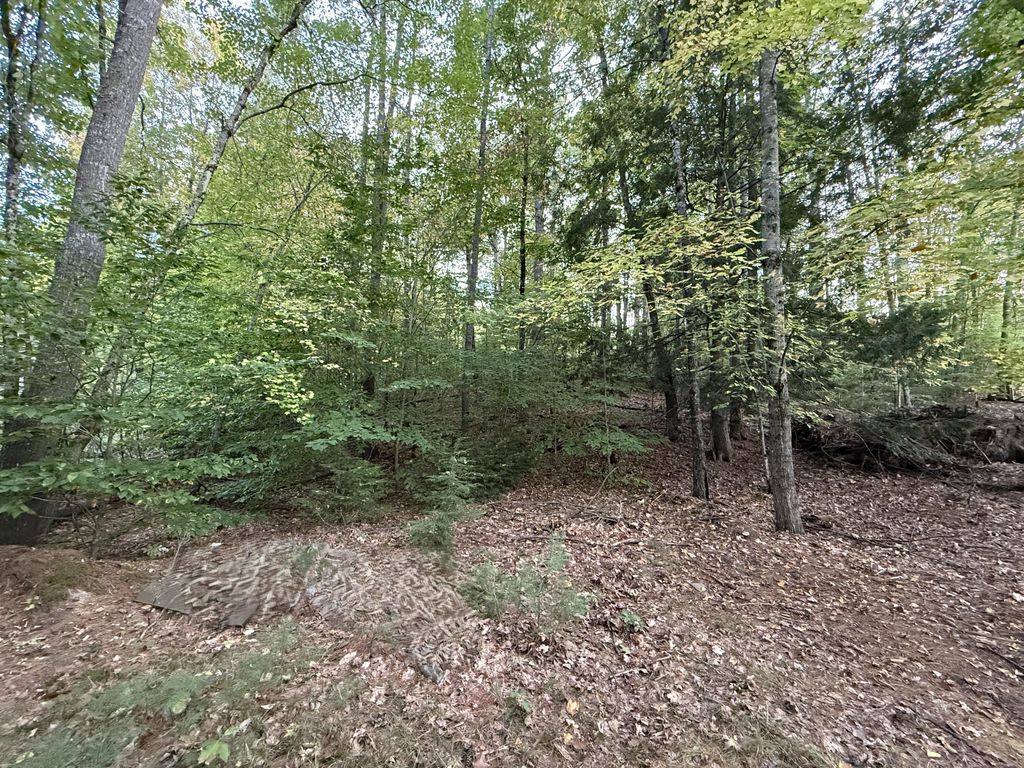 Photo of Lot 2093 Sunny Brook Circle, Waterboro, ME 04061 (MLS # 1639373)