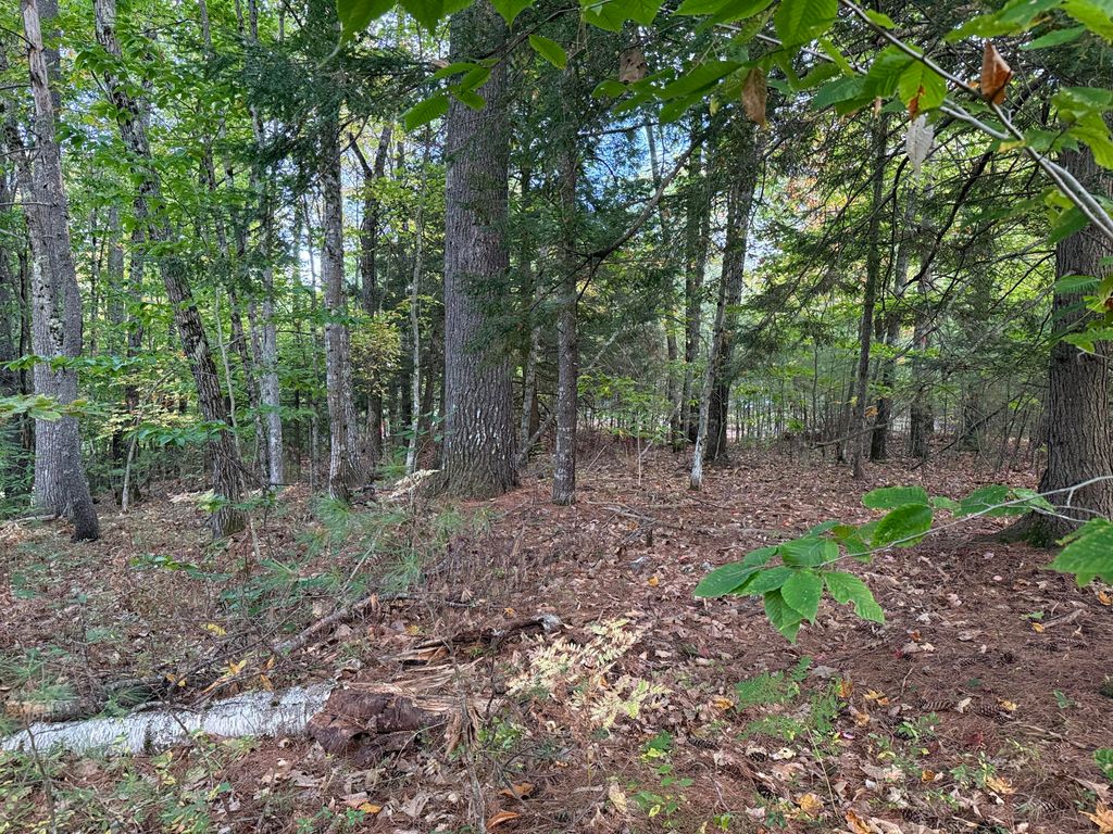 Photo of Lot 2093 Sunny Brook Circle, Waterboro, ME 04061 (MLS # 1639373)