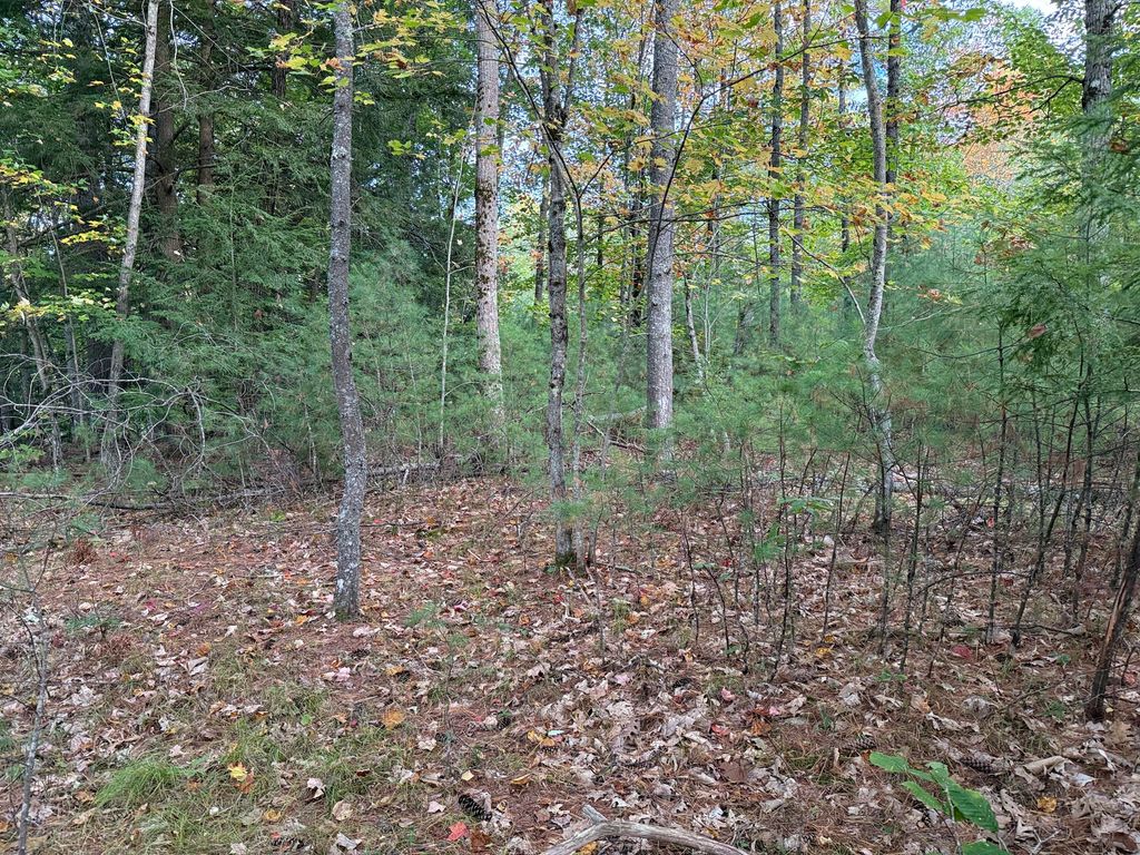 Photo of Lot 2093 Sunny Brook Circle, Waterboro, ME 04061 (MLS # 1639373)