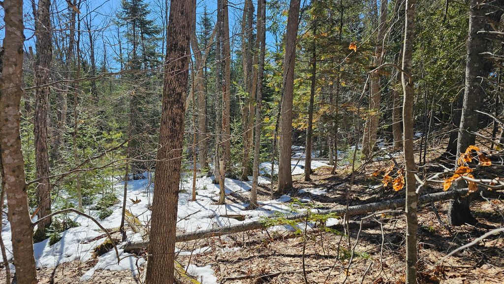 Photo of 41-000-000 Kidder Hill Road, Holden, ME 04429 (MLS # 1654203)