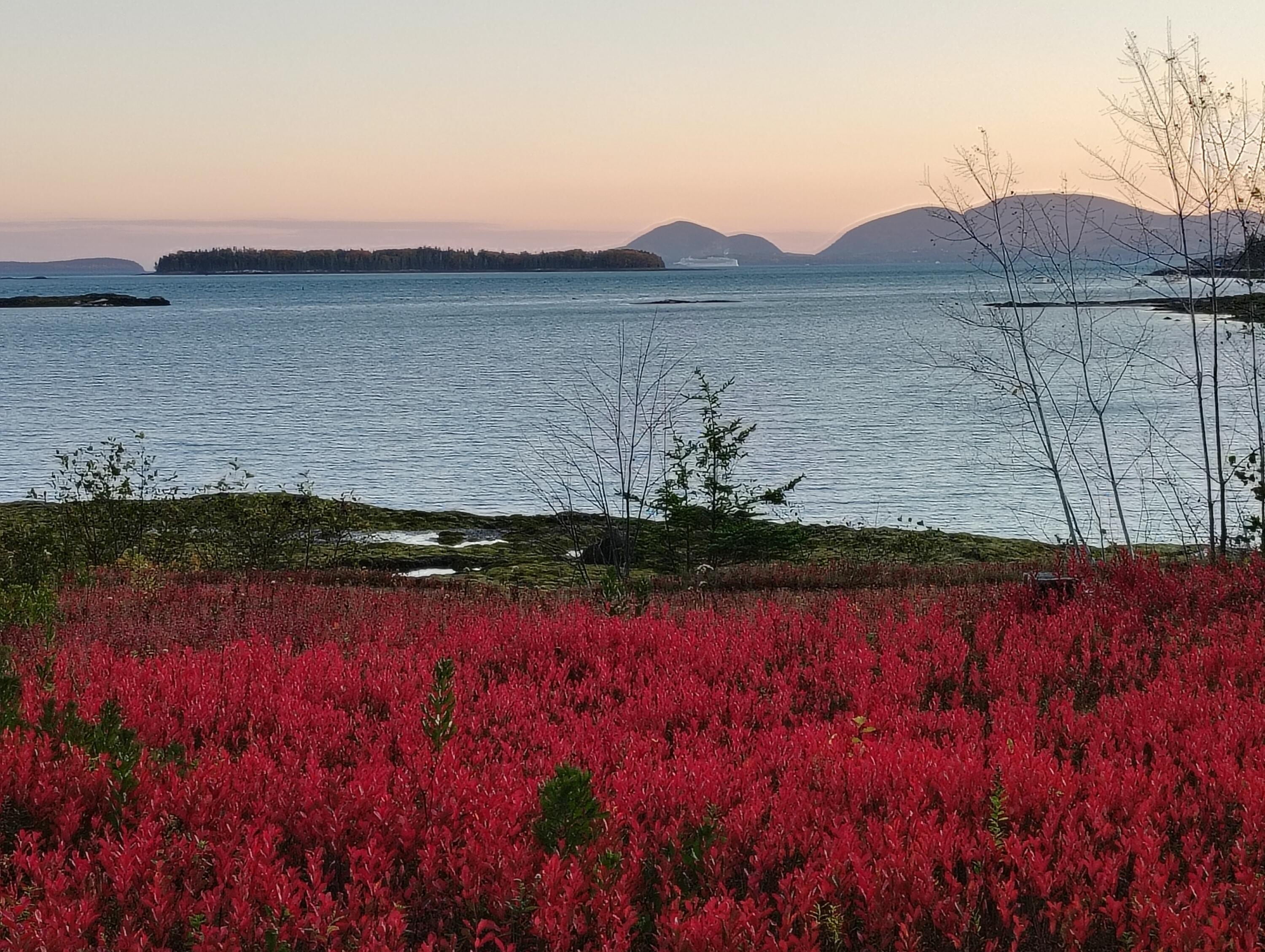 Hancock, Maine 04640, United States, 2 Bedrooms Bedrooms, ,2 BathroomsBathrooms,Residential,Active,215616