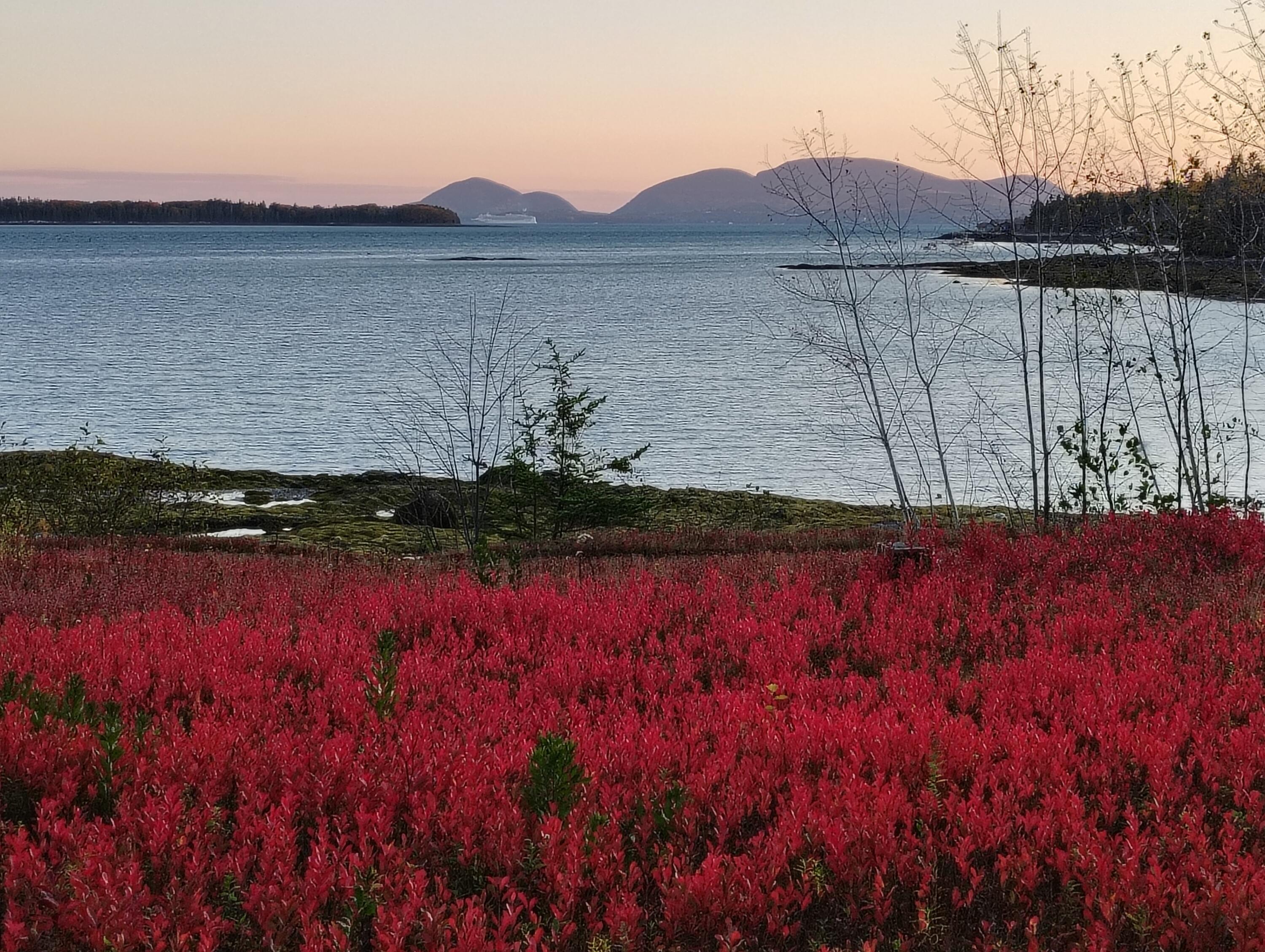 Hancock, Maine 04640, United States, 2 Bedrooms Bedrooms, ,2 BathroomsBathrooms,Residential,Active,215616