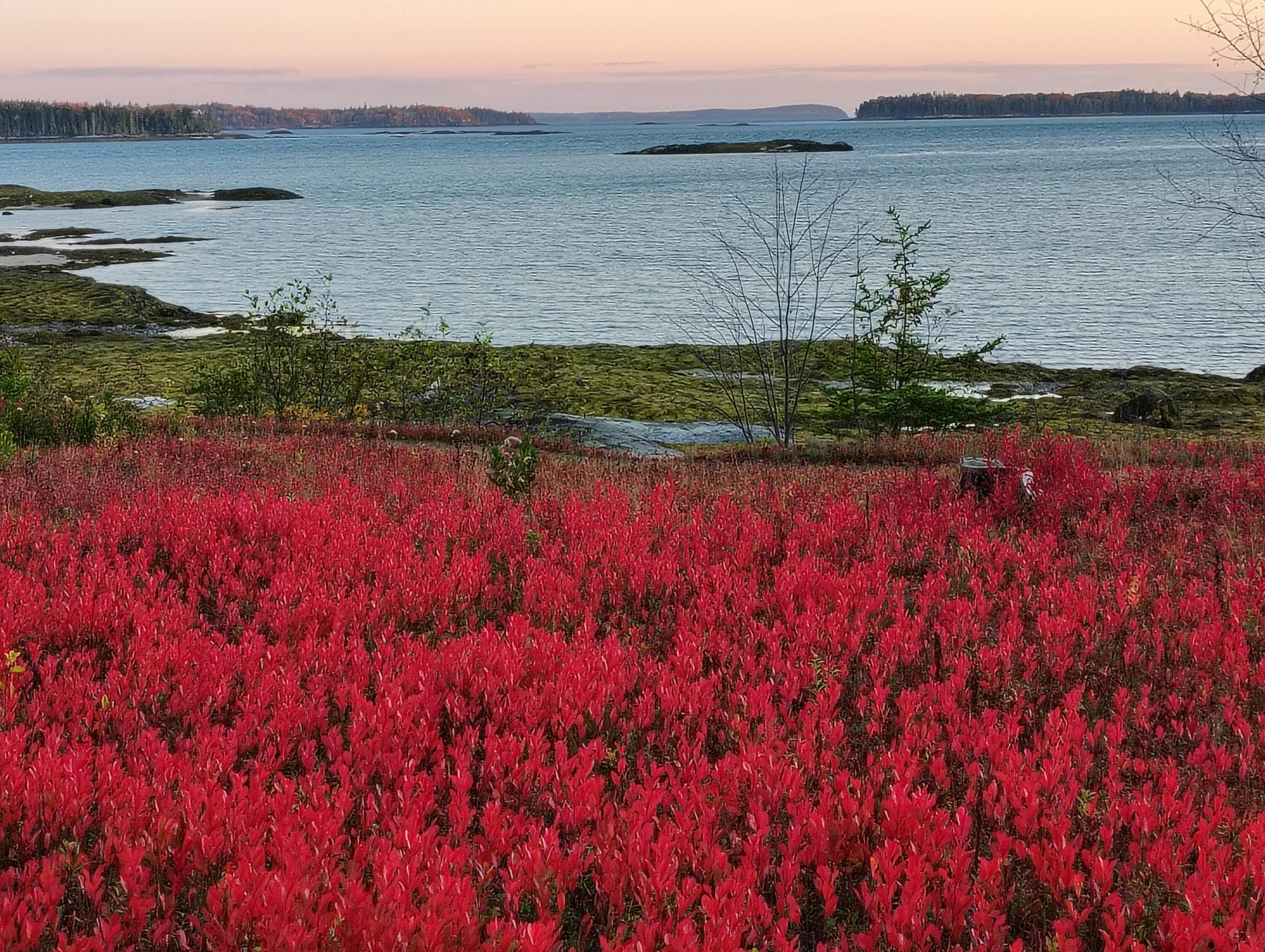 Hancock, Maine 04640, United States, 2 Bedrooms Bedrooms, ,2 BathroomsBathrooms,Residential,Active,215616