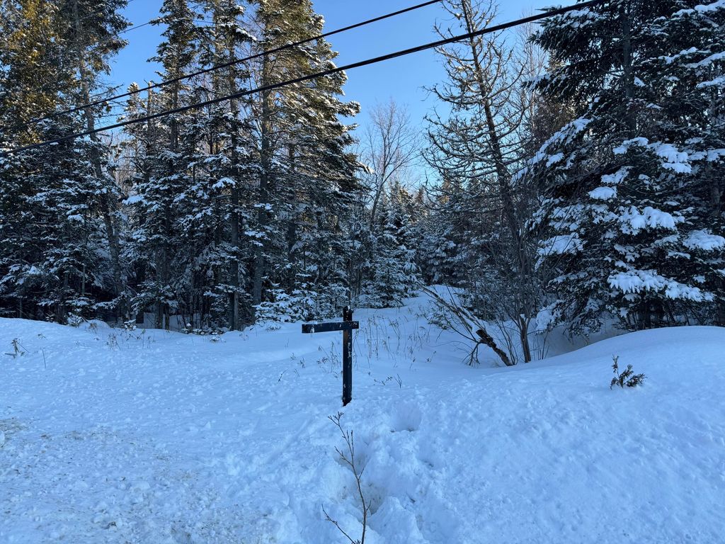 Photo of 101 Saddleback Mountain Road, Dallas Plt, ME 04970 (MLS # 1652469)