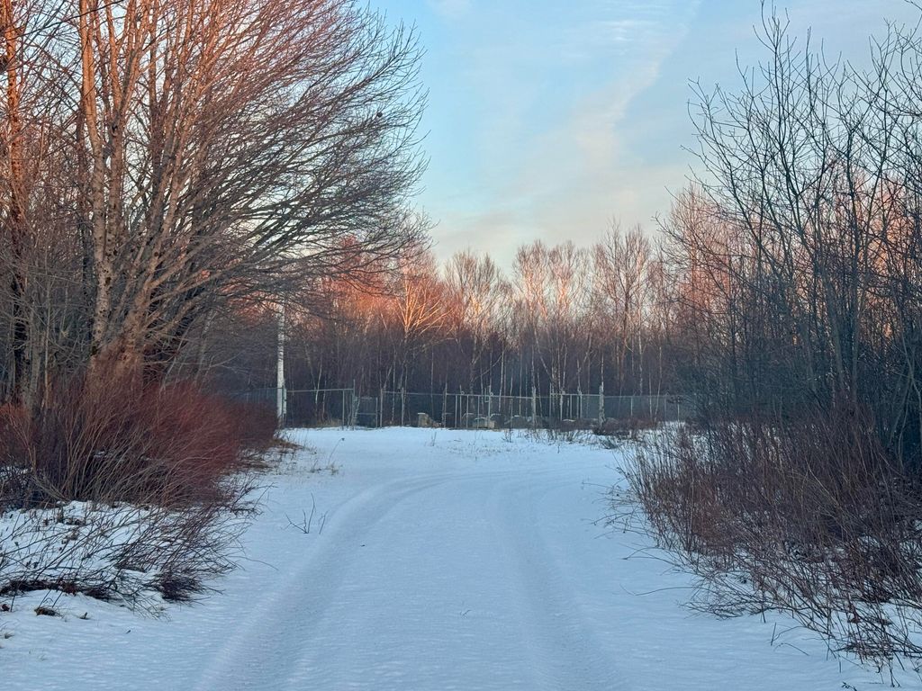 Photo of 119 County Road, Eastport, ME 04631 (MLS # 1650680)