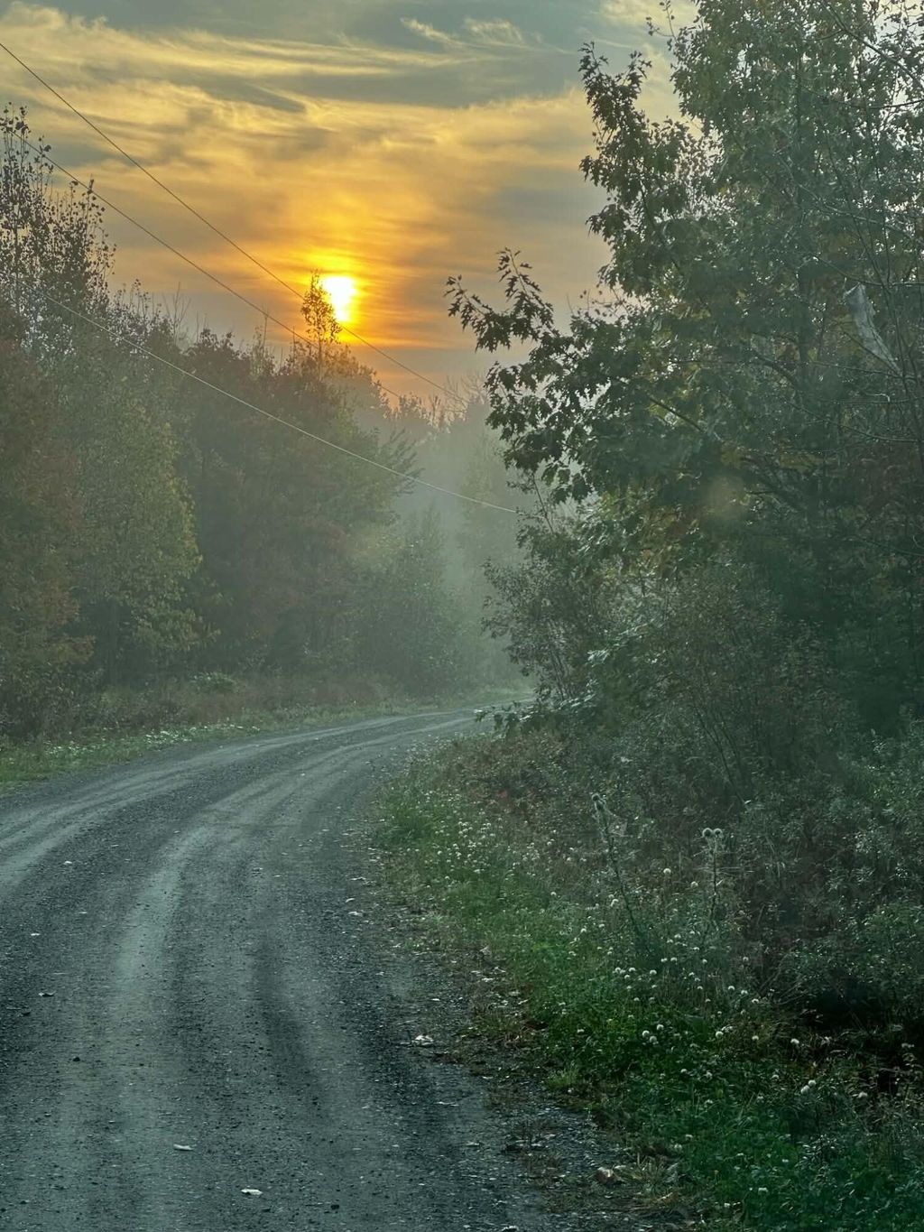 Photo of 260 Nyes Corner Road, Saint Albans, ME 04971 (MLS # 1655716)