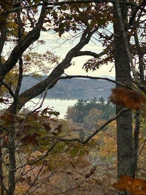 Photo of 00 Swanville Road, Frankfort, ME 04438 (MLS # 1660147)
