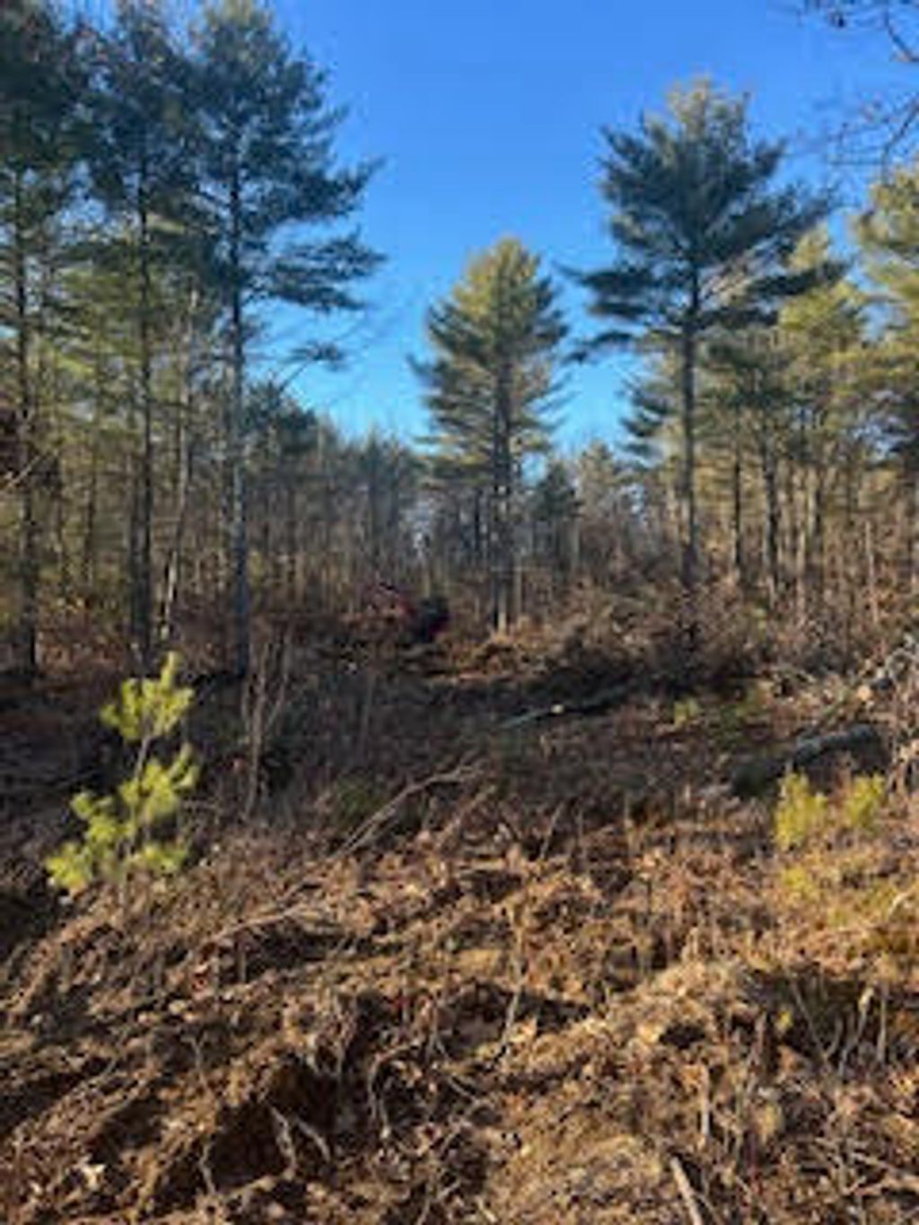 Photo of 866 Parker Farm Road #A, Buxton, ME 04093 (MLS # 1645857)