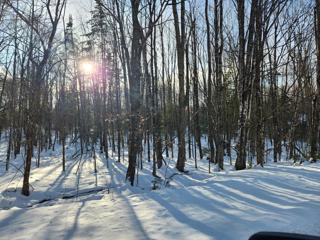 Photo of Map R15-37 Fields Hill Road, Sumner, ME 04292 (MLS # 1649042)