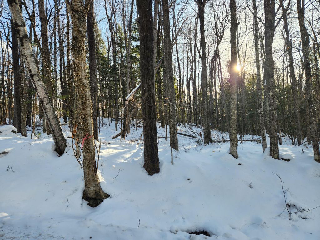 Photo of Map R15-37 Fields Hill Road, Sumner, ME 04292 (MLS # 1649042)