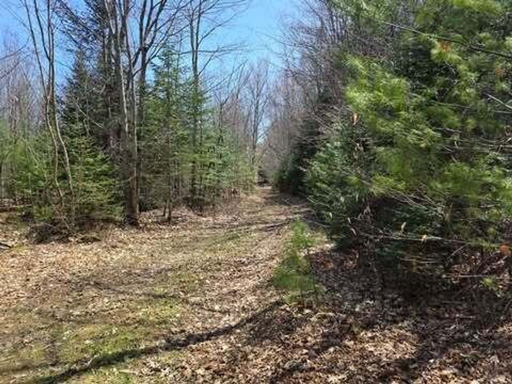 Photo of Lot 26-1 Old County Road, West Paris, ME 04289 (MLS # 1659707)