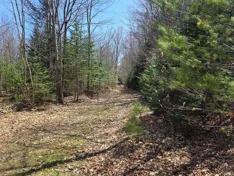Photo of Lot 26-1 Old County Road, West Paris, ME 04289 (MLS # 1659707)
