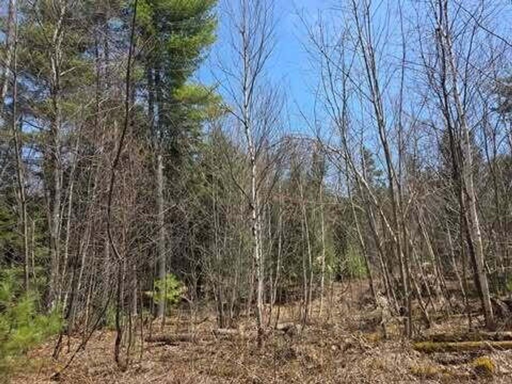 Photo of Lot 26-1 Old County Road, West Paris, ME 04289 (MLS # 1659707)