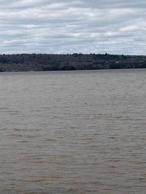 Lot # 146 White Tail Road