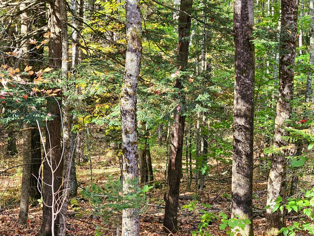 Photo of Lot 65 Church Street, Brownville, ME 04414 (MLS # 1639769)