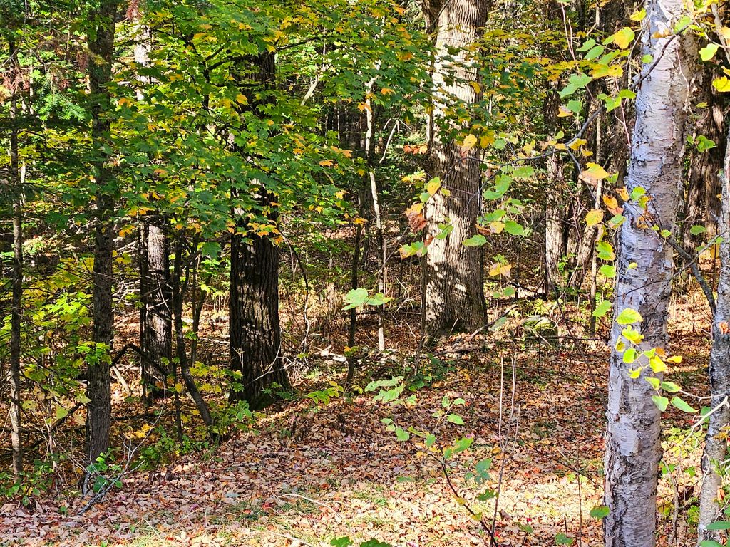 Photo of Lot 65 Church Street, Brownville, ME 04414 (MLS # 1639769)