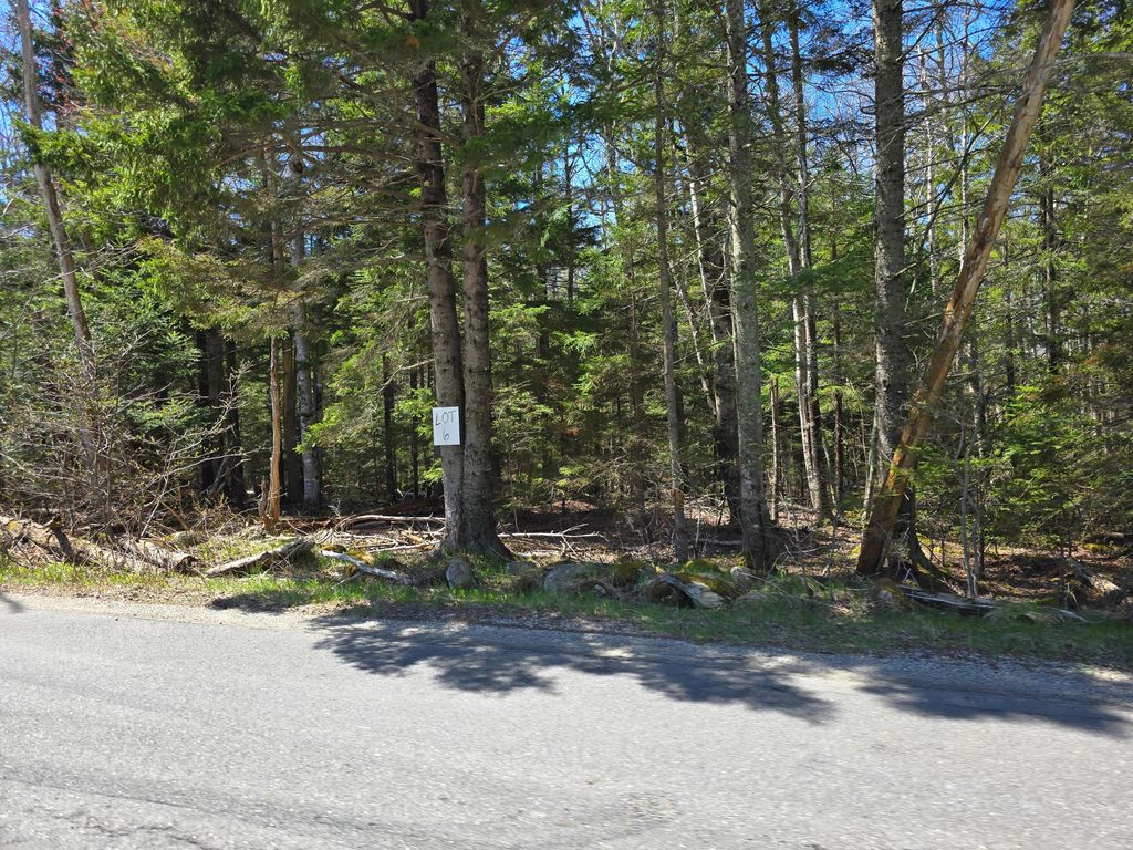 Photo of Lot #6 Wallston Road, Saint George, ME 04860 (MLS # 1661229)
