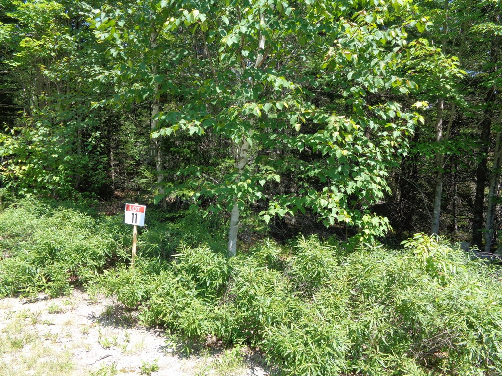 Photo of Lot 11 Bailey Mountain Road, Franklin, ME 04634 (MLS # 1661745)