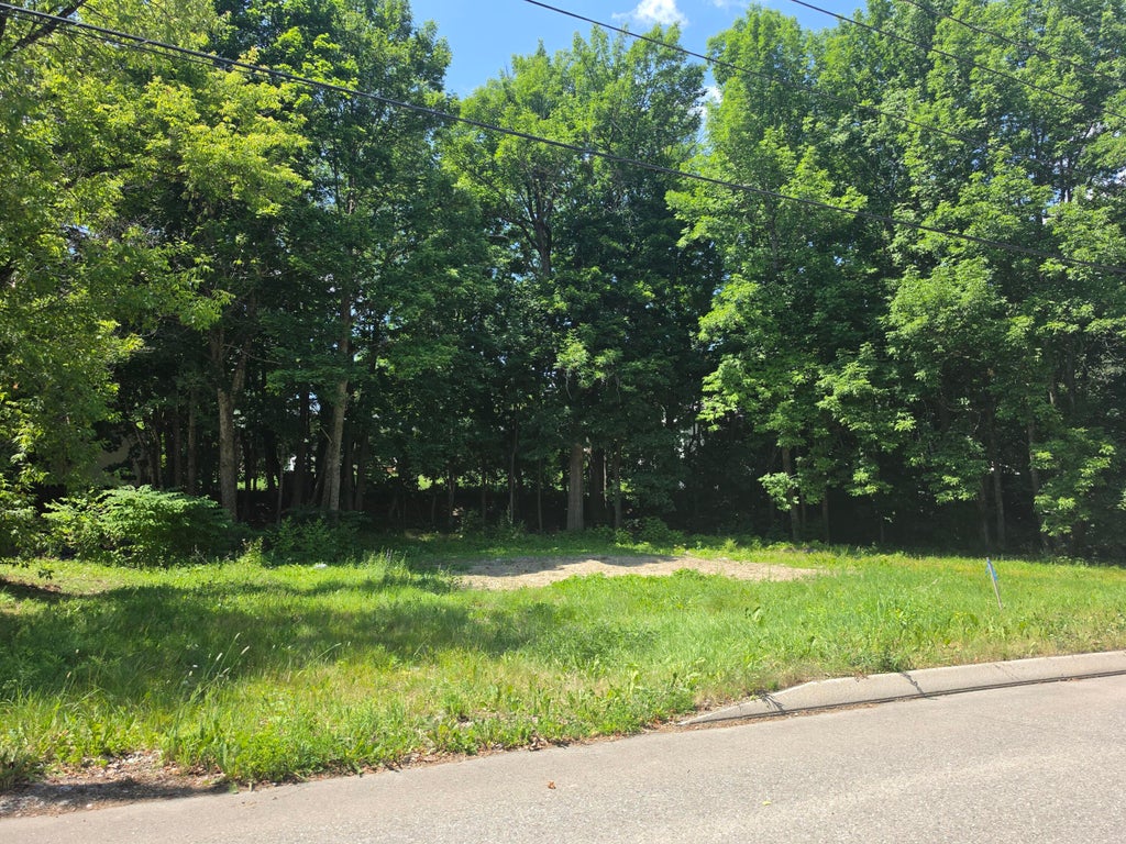 Photo of 41 Hillside Street, Baileyville, ME 04694 (MLS # 1671888)