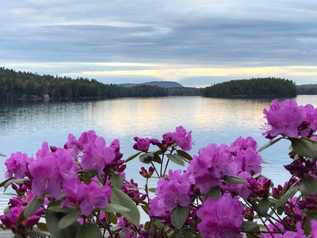 Photo of 362 Stickney Hill Road, Liberty, ME 04949 (MLS # 1663300)