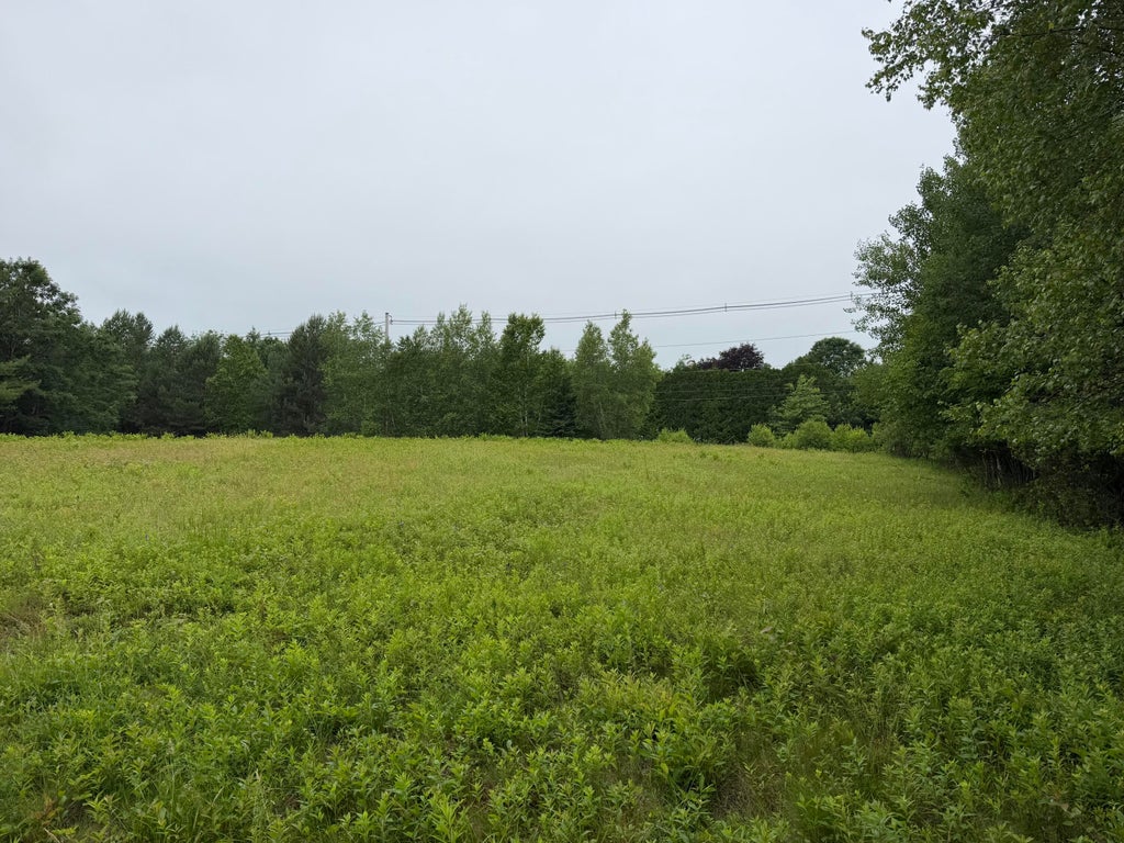 Photo of 0 Ellsworth Road, Blue Hill, ME 04614 (MLS # 1669986)