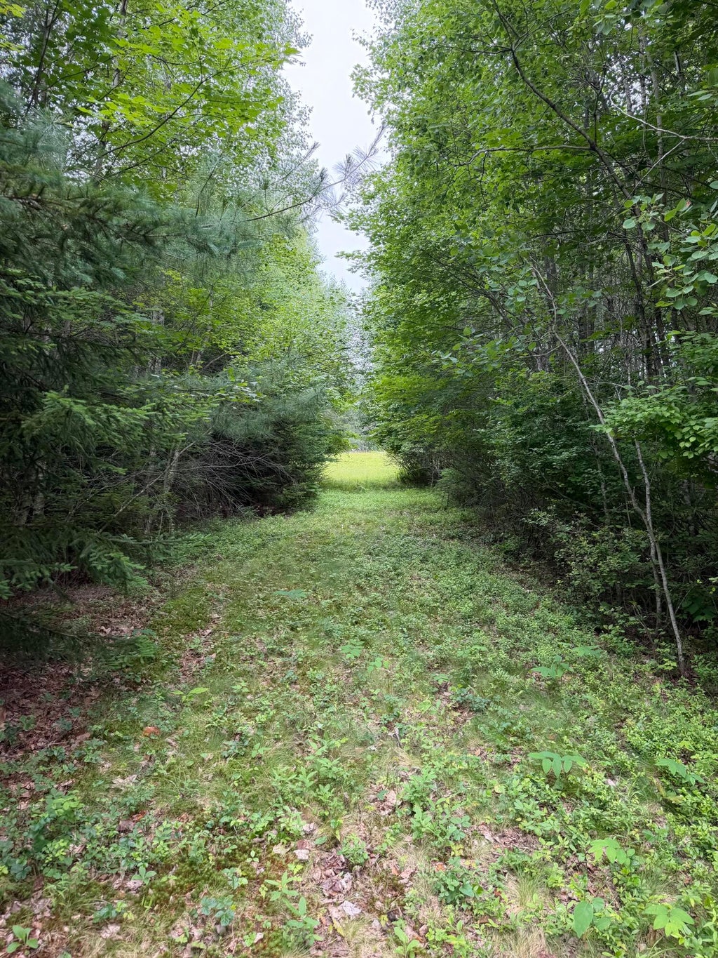 Photo of 0 Ellsworth Road, Blue Hill, ME 04614 (MLS # 1669986)