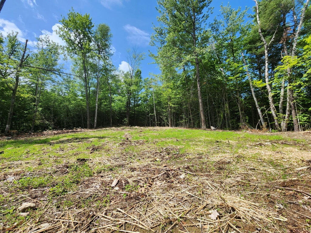 Photo of 0 Homestead Hill Road, Mercer, ME 04957 (MLS # 1667029)