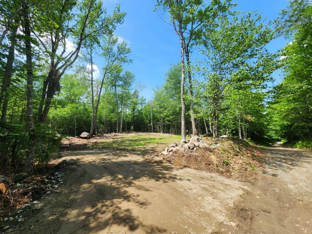 Photo of 0 Homestead Hill Road, Mercer, ME 04957 (MLS # 1667029)