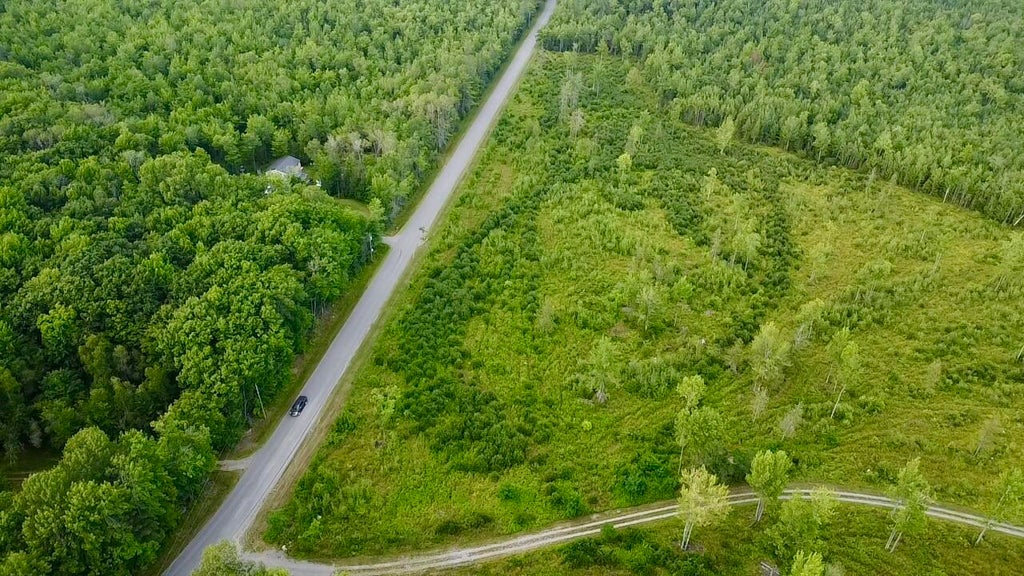 Photo of TBD Higgins Road, Pittsfield, ME 04967 (MLS # 1675849)