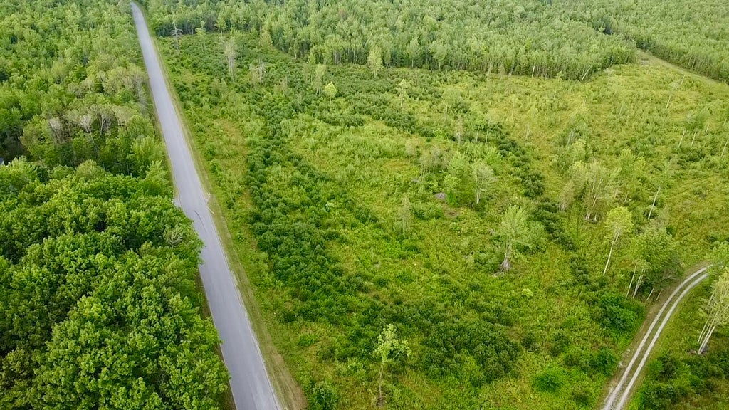 Photo of TBD Higgins Road, Pittsfield, ME 04967 (MLS # 1675849)