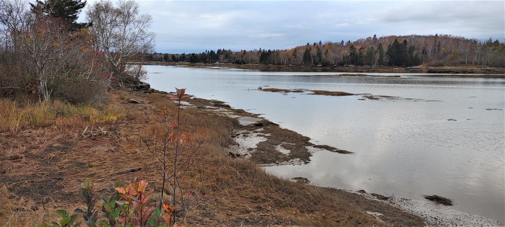 Photo of 1489 Indian River Road, Jonesport, ME 04649 (MLS # 1680400)