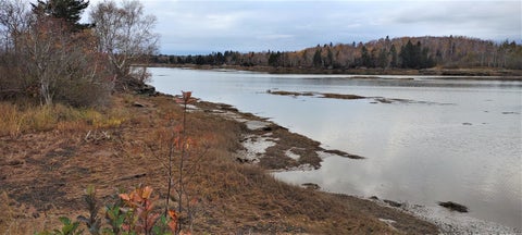 Photo of 1489 Indian River Road, Jonesport, ME 04649 (MLS # 1680400)