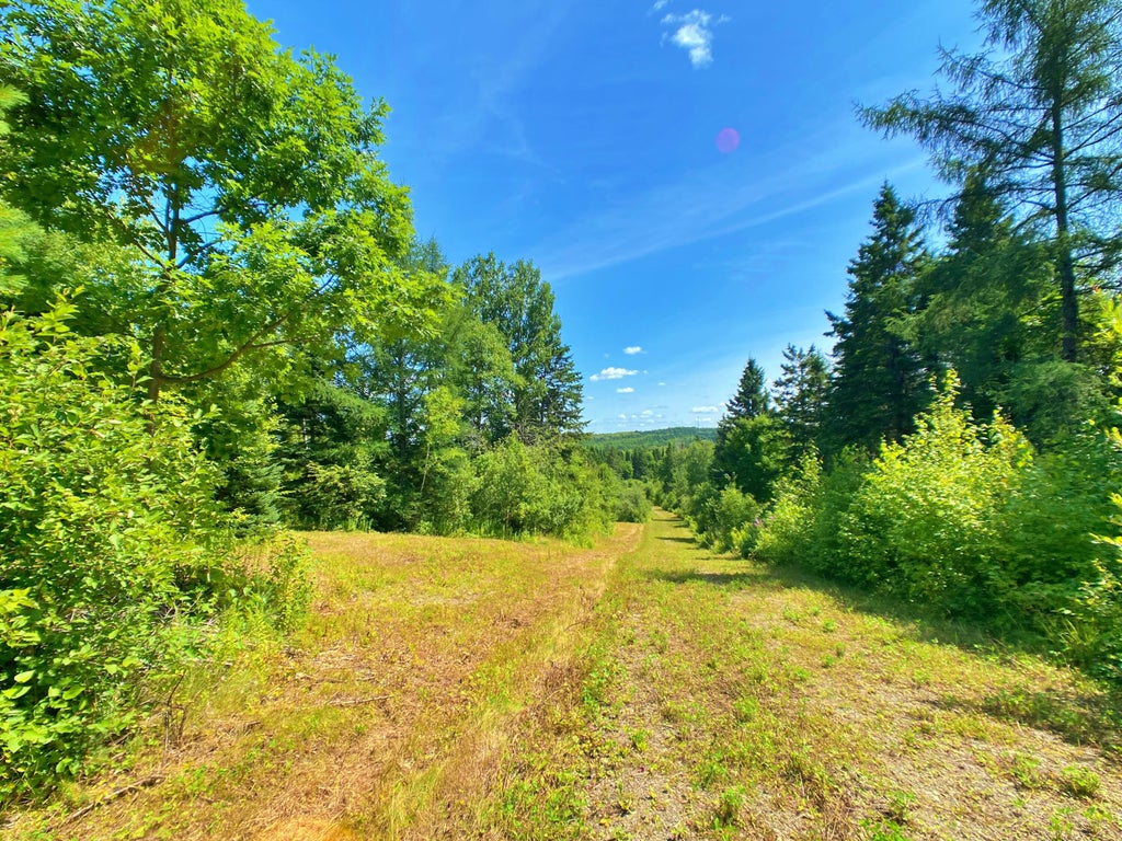 Photo of M11L114.5G New Sweden Road, New Sweden, ME 04762 (MLS # 1677454)