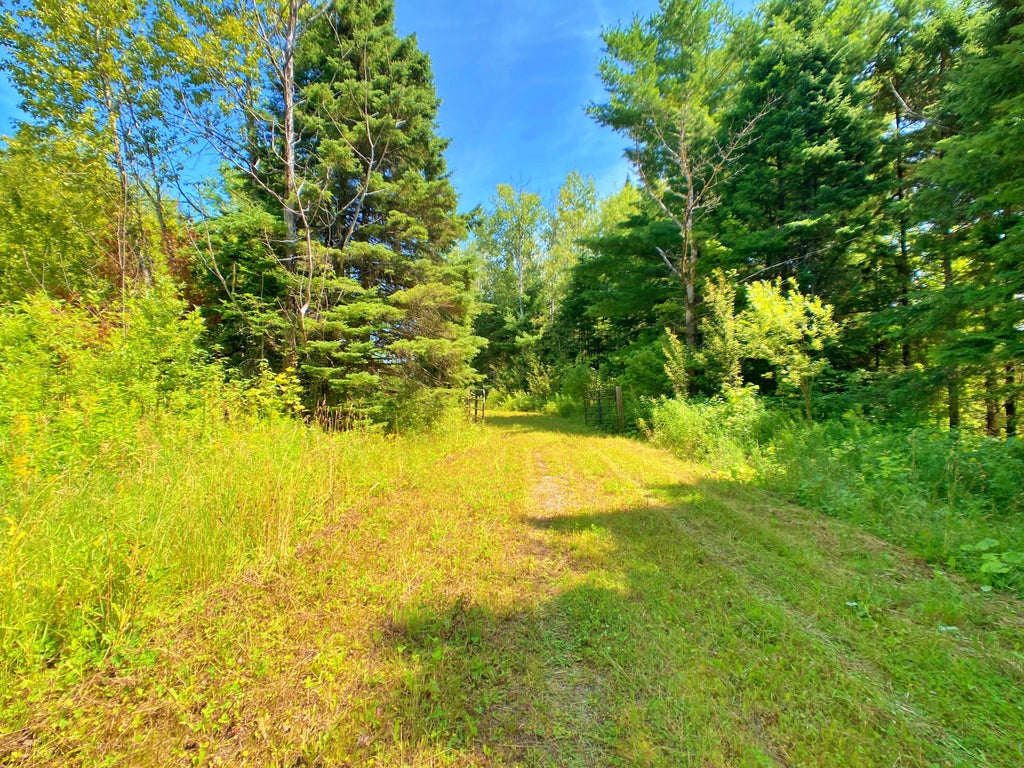 Photo of M11L114.5G New Sweden Road, New Sweden, ME 04762 (MLS # 1677454)